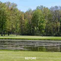 Airmax EasyKlear 2-In-1 Granular Algae & Weed Control (Same As Hydrothol) -Aquavista Shop airmax easyklear defense before 1000 39257.1667236237