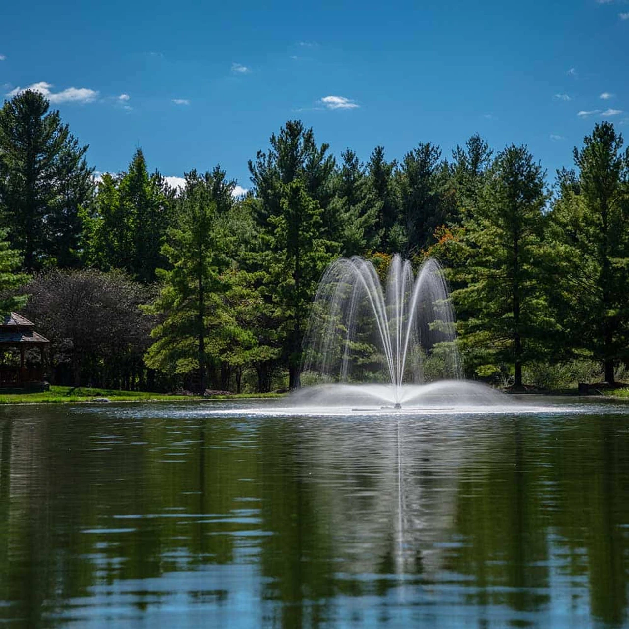 Airmax LakeSeries 3 HP Fountain, 230V 10 Airmax LakeSeries 3 HP Fountain, 230V - Image 10