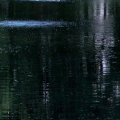 Airmax Pond Dye Packets -Aquavista Shop airmax pond dye black dyemond pond 1000 33435.1643741337