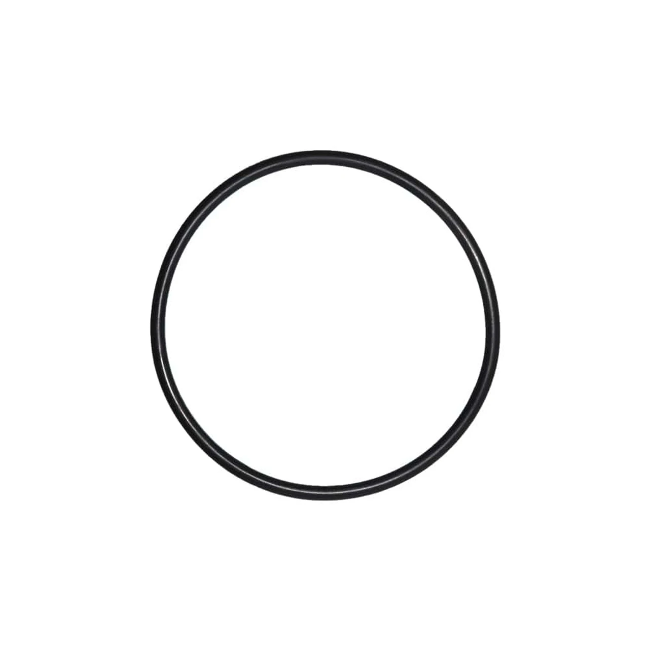 Alpine Cyclone Pump - O-Rings 1 Alpine Cyclone Pump - O-Rings