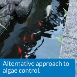 API PondCare Microbial Algae Clean -Aquavista Shop alternative algae control 1000 13794.1666618175