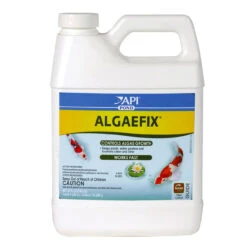 API AlgaeFix -Aquavista Shop api algaefix 32ounce 1000 03465.1666893864