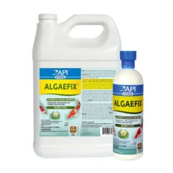 API AlgaeFix