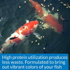 API Cool Water Pond Food 1.4 Lb -Aquavista Shop api cool water fish food protein callout 1000 60318.1661962536