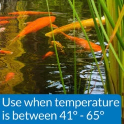 API Cool Water Pond Food 1.4 Lb -Aquavista Shop api cool water fish food temp callout 1000 53074.1661962536