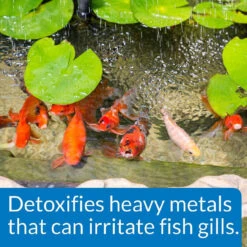 API Pond Chlorine & Heavy Metal Neutralizer -Aquavista Shop api pond chlorine detoxifier 1000 54866.1665411450