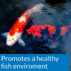 API Clear Pond Essential Bundle -Aquavista Shop api pond ecofix sludge destroyer healthy environment 1000 82900.1643736454