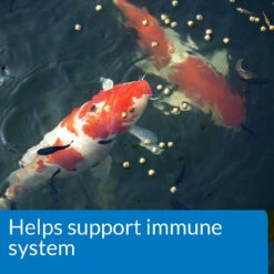 API Pond Essentials With Food -Aquavista Shop api pond fish food immune system callout 1000 40979.1643736789