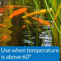 API Pond Fish Food -Aquavista Shop api pond fish food temp callout 1000 39493.1661967052