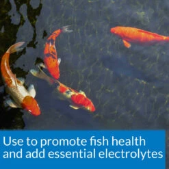 API Pond Starter Bundle -Aquavista Shop api pond salt promotes fish health 1000 35519.1643736568