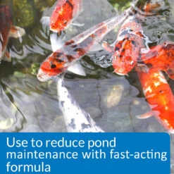 API Pond Simply Clear -Aquavista Shop api pond simply clear reduce maintenance 1000 63958.1659374845