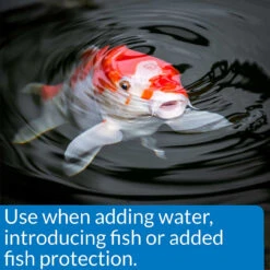 API Pond Stress Coat -Aquavista Shop api pond stress coat fish protection 1000 85438.1643737636