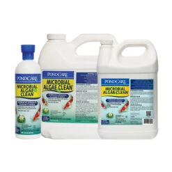 API PondCare Microbial Algae Clean