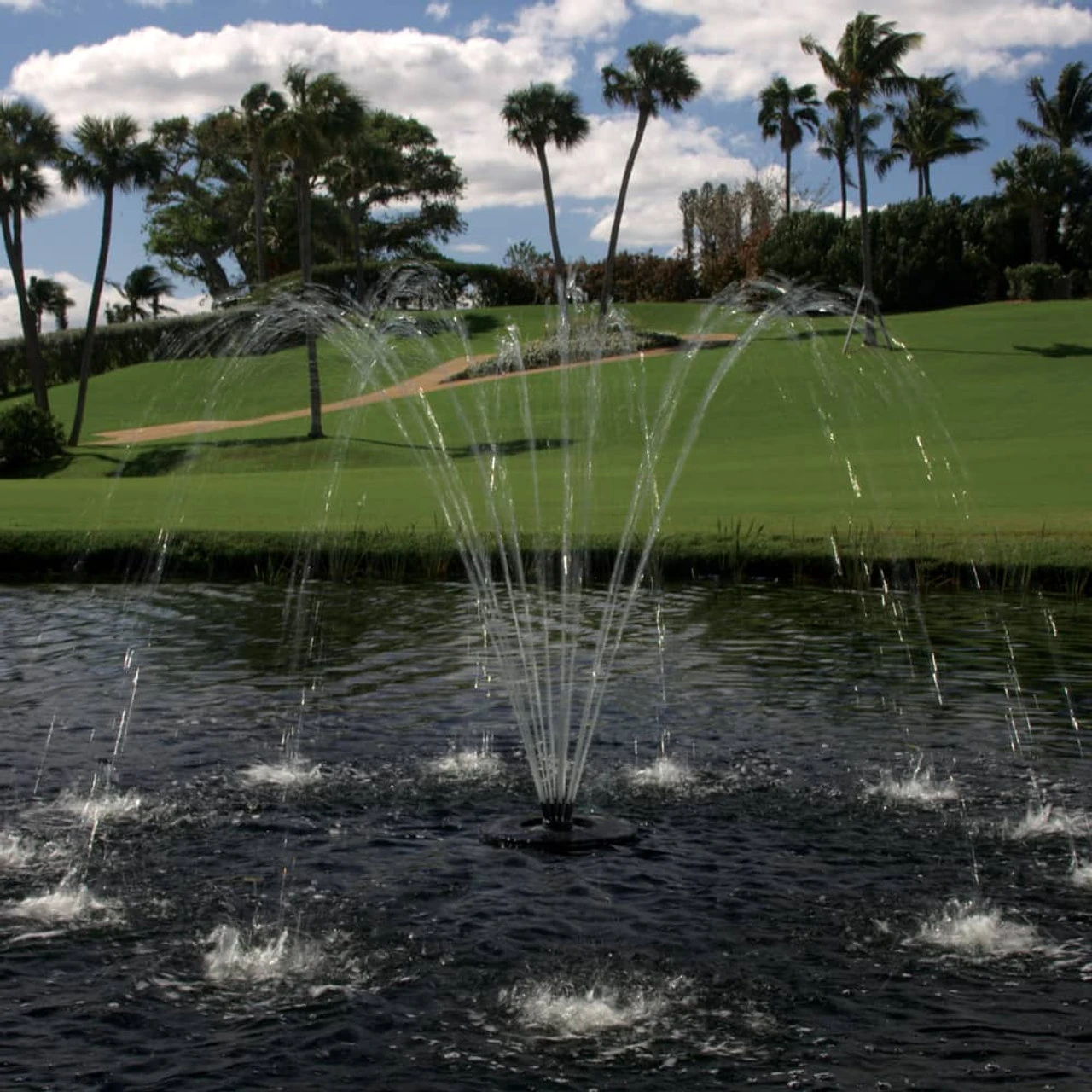 Accessories Cluster Arch Nozzle For Aqua Control Evolution Series 1/2 HP Fountain 2 Accessories Cluster Arch Nozzle For Aqua Control Evolution Series 1/2 HP Fountain - Image 2