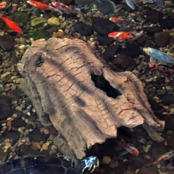 Aquascape Faux Log Fish Cave -Aquavista Shop aquascape faux log fish cave underwater 1000 82942.1657199666