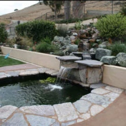 Pond Armor Pond Shield Epoxy Crack RX Prefill -Aquavista Shop backyard stream pond 1000 86202.1681413305