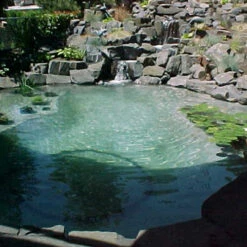 Pond Armor Pond Shield Non-Toxic Epoxy Pond Liner 1.5 Gallons -Aquavista Shop blue pond 1000 26337.1643671232