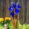 Blue Thumb Copper Blue Iris Fountain Kit