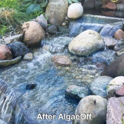 CrystalClear AlgaeOff String Algae Remover -Aquavista Shop crystalclear algaeoff after 1000 05357.1682005935