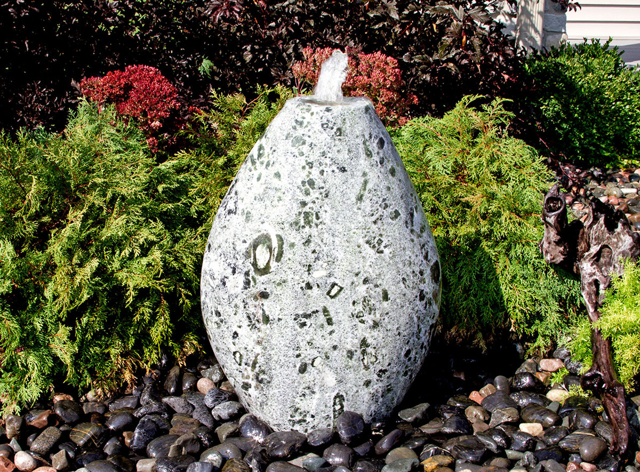 Aquavista Shop -Aquavista Shop dfnt 03w 1 54663