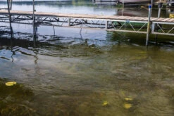 Kasco AquatiClear Water Circulator W/ Universal Dock Mount, 3/4 HP, 115V -Aquavista Shop dock ripples 50228.1652381404