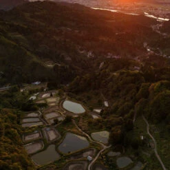 6-8" Japanese Standard Fin Koi Packages -Aquavista Shop japan koi breeding grounds 1000 65834.1680702784