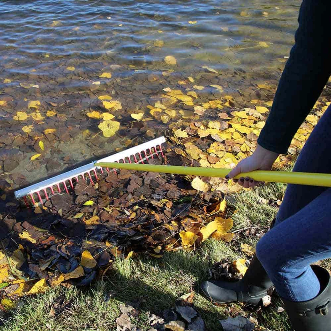 Jenlis Weed Raker Pond & Lake Rake 3 Jenlis Weed Raker Pond & Lake Rake - Image 3