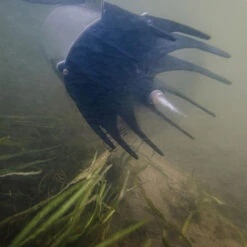 Kasco AquatiClear Water Circulator W/ Horizontal Float, 1 HP, 230V -Aquavista Shop kasco aquaticlear circulator under floatb 1000 35993.1652385164