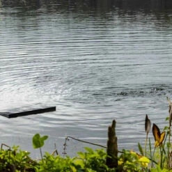 Kasco AquatiClear Water Circulator W/ Horizontal Float, 1/2 HP, 115V -Aquavista Shop kasco aquaticlear horizontial float in water 1000 15808.1652296028