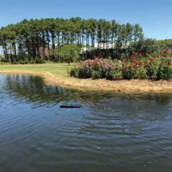 Kasco AquatiClear Water Circulator W/ Horizontal Float, 1 HP, 115V 10 Kasco AquatiClear Water Circulator W/ Horizontal Float, 1 HP, 115V -Aquavista Shop kasco horizontal float in water flowers 1000 10771.1652373810