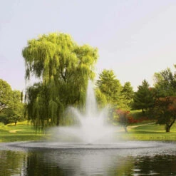 Kasco 5 HP 5.1JF Fountain, 5 Spray Patterns Included