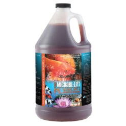 Microbe-Lift PL Beneficial Bacteria -Aquavista Shop microbe lift pl 1gallon 1000 02165.1659540929
