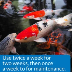 API PondCare Microbial Algae Clean -Aquavista Shop microbial algae clean dosing 1000 75263.1666618175