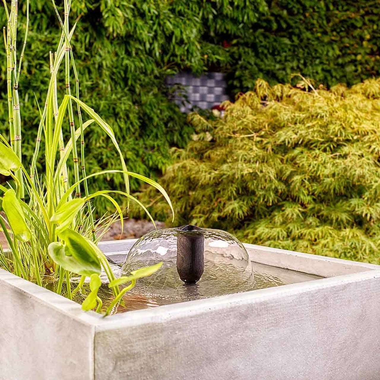 Oase Filtral UVC Filter W/ Pump 13 Oase Filtral UVC Filter W/ Pump - Image 13