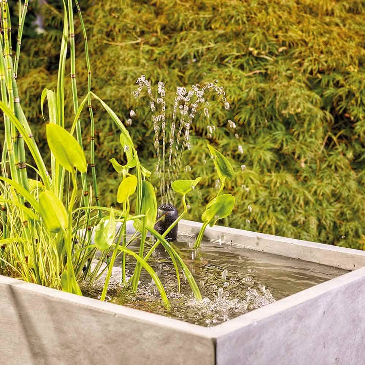 Oase Filtral UVC Filter W/ Pump 5 Oase Filtral UVC Filter W/ Pump - Image 5