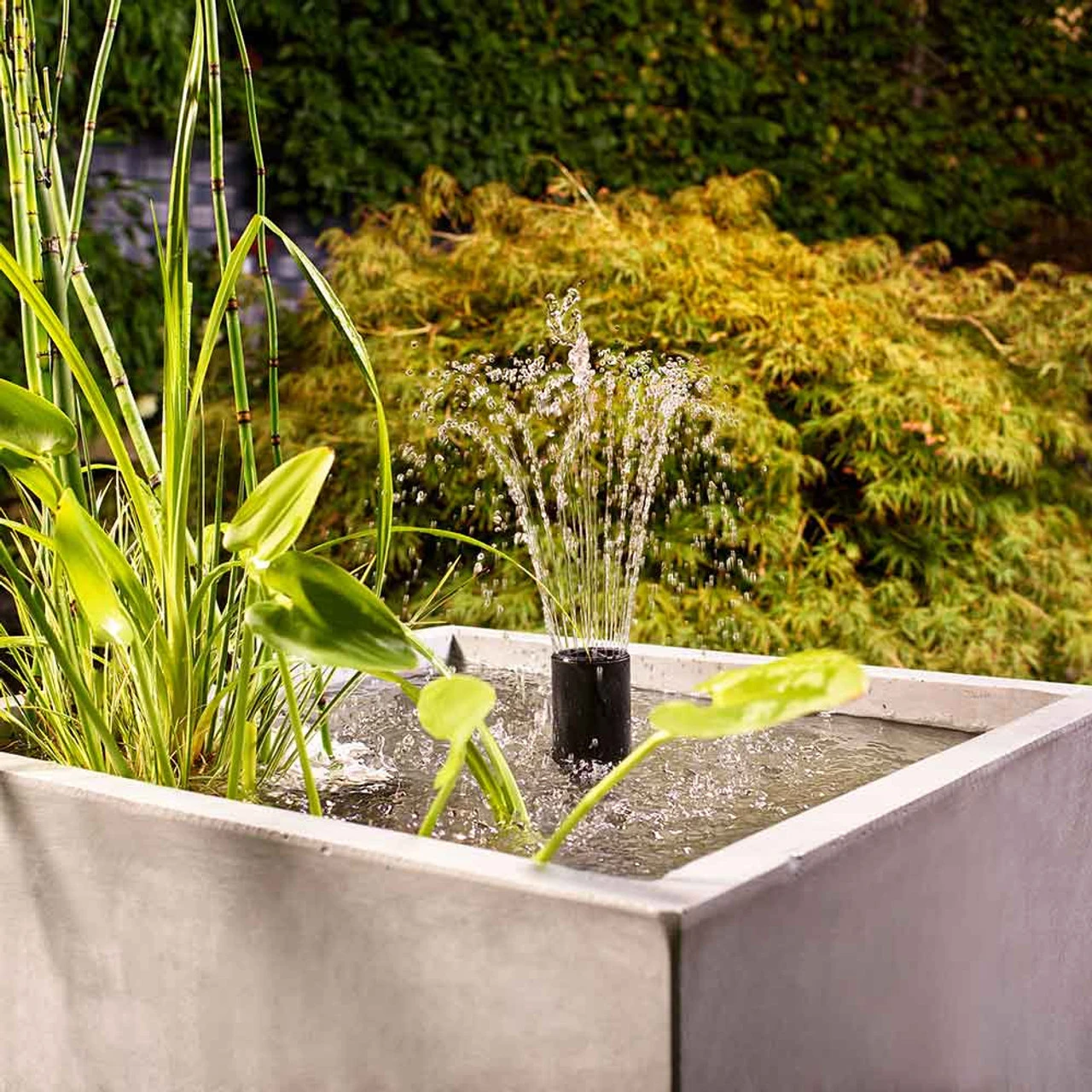 Oase Filtral UVC Filter W/ Pump 9 Oase Filtral UVC Filter W/ Pump - Image 9