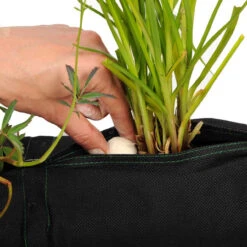 Plant Socks -Aquavista Shop plant sock inserting ball 1000 18259.1656350388