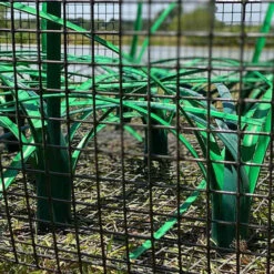 Pond King Honey Hole Nursery -Aquavista Shop pond king honey hole mega nursery closeup 55040.1676056677