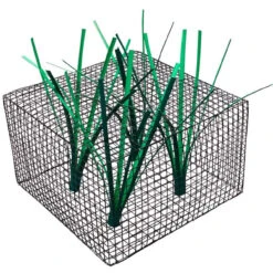 Pond King Honey Hole Nursery