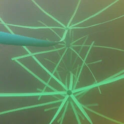 Pond King Honey Hole Reed -Aquavista Shop pond king honey hole reed feature 1000 60065.1656510740