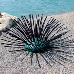 Pond King Honey Hole Shrubs