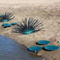 Pond King Honey Hole Spawning Discs -Aquavista Shop pond king honey hole spawning disc and shrubs 1000 61396.1676054754