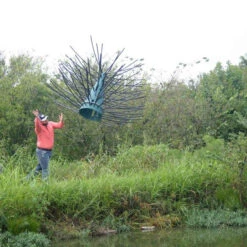 Pond King Honey Hole Trees -Aquavista Shop pond king honey hole tree shore installation 23920.1676047620