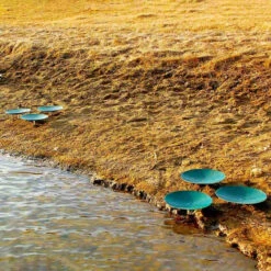 Pond King Honey Hole Spawning Discs -Aquavista Shop pond king spawning disc shoreline 1000 69804.1676054754