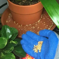 Summit Mosquito Bits & Dunks 12 Summit Mosquito Bits & Dunks -Aquavista Shop summit mosquito bits container pots 06070.1689169886