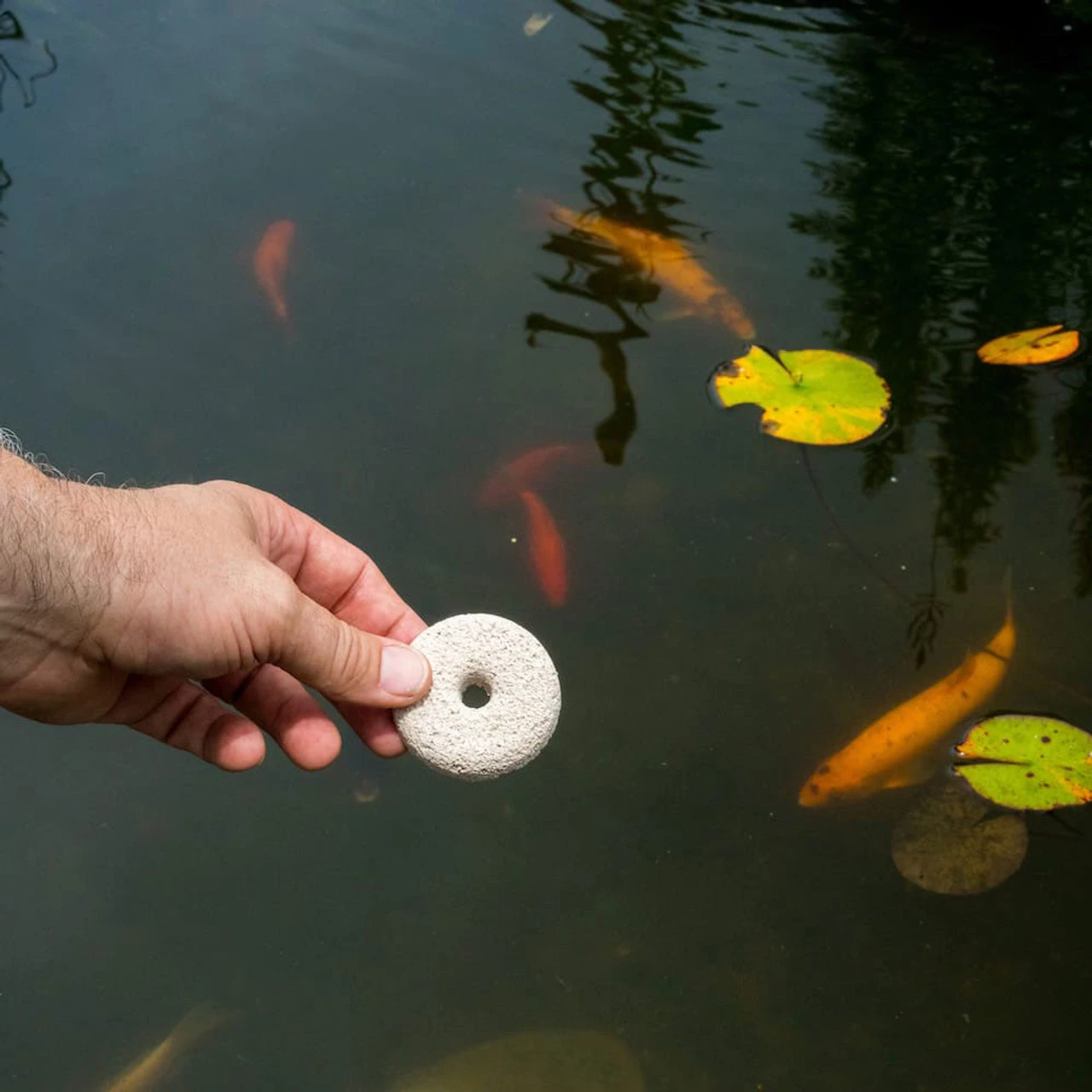 Summit Mosquito Bits & Dunks 2 Summit Mosquito Bits & Dunks - Image 2