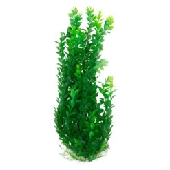 The Pond Guy Artificial Ludwigia -Aquavista Shop the pond guy artificial ludwigia 19 inch green 1000 84129.1667244408