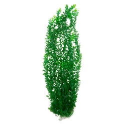 The Pond Guy Artificial Ludwigia -Aquavista Shop the pond guy artificial ludwigia 39 inch green 1000 80291.1667244408