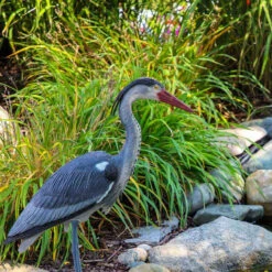 The Pond Guy Blue Heron Decoy
